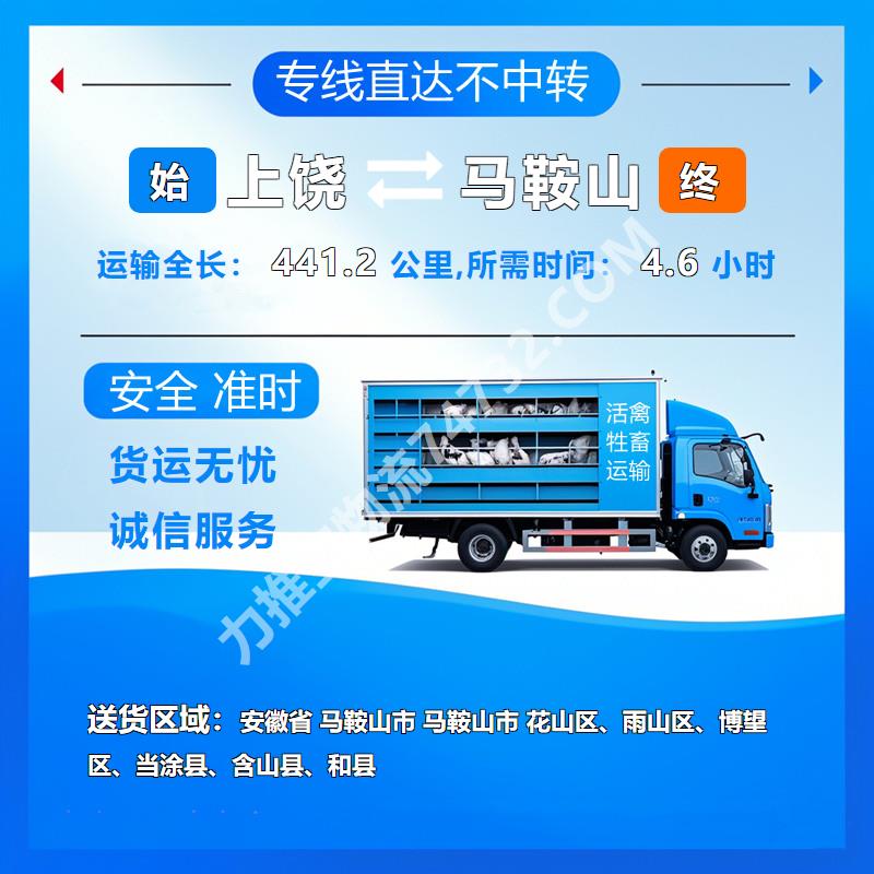 江西省上饶市活禽托运公司_种鹅运输服务卓越