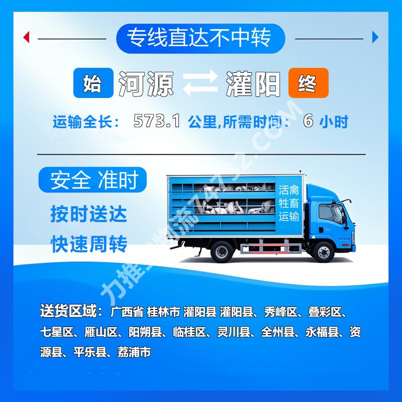 广东省河源市至广西省桂林市灌阳县活禽托运_肉鸭运输_往返直达