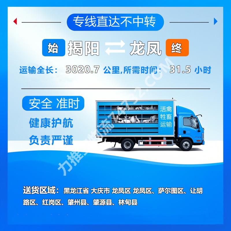 榕城物流广东省揭阳市到黑龙江省大庆市龙凤区物流公司