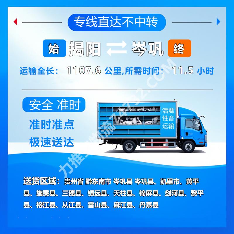 广东省揭阳市到贵州省黔东南市岑巩县活禽托运 雏鸡运输