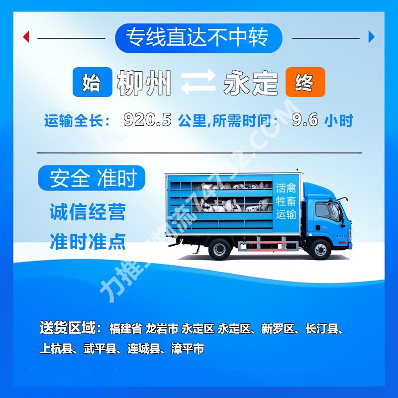 广西省柳州市到福建省龙岩市永定区牲畜运输_【服务卓越】