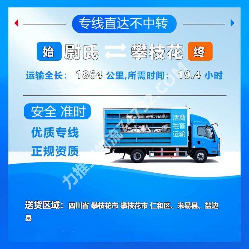 河南省开封市尉氏县至四川省攀枝花市货运