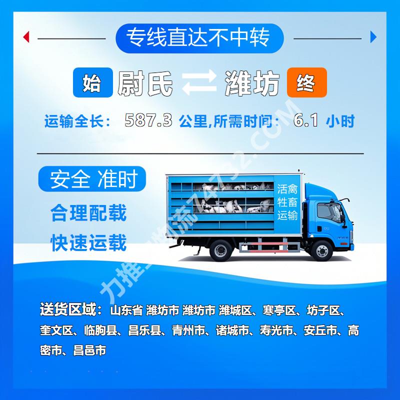 河南省开封市尉氏县到山东省潍坊市活禽托运|云智活禽牲畜恒温车物流运输羊运输|专业车队