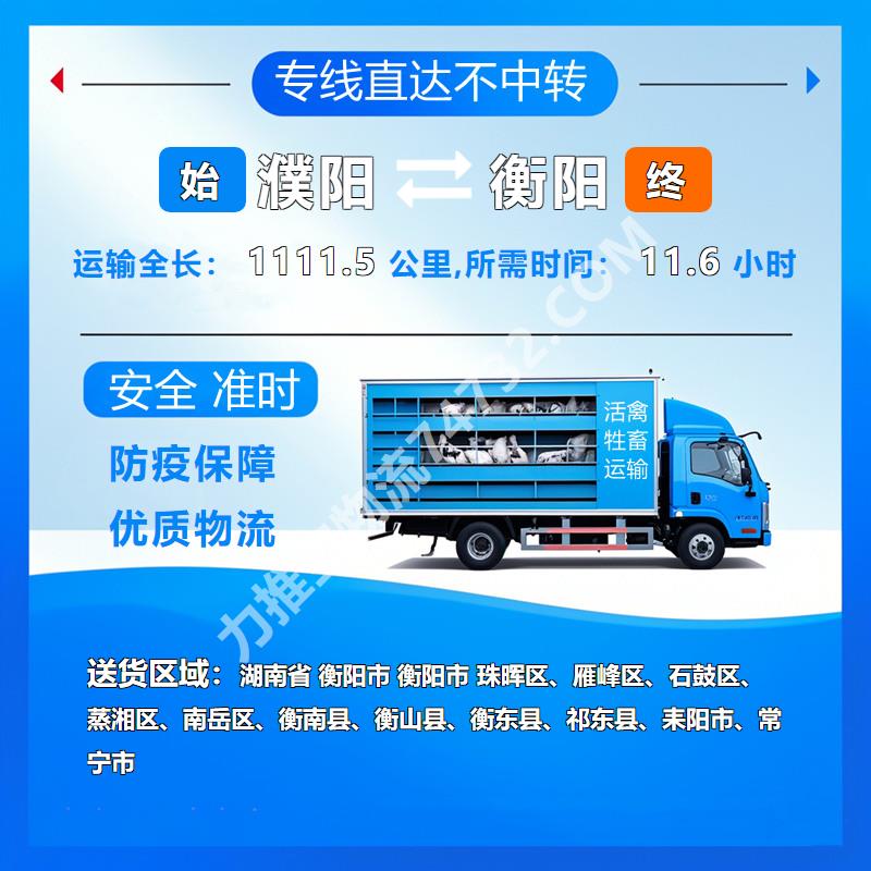 河南省濮阳市到湖南省衡阳市专线