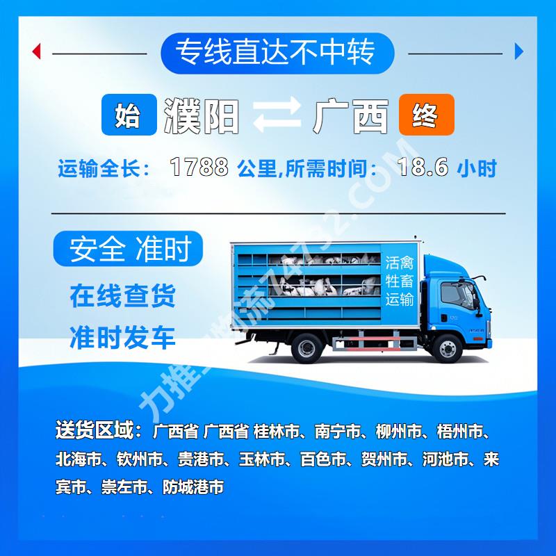 河南省濮阳市至广西省活禽托运{云智活禽牲畜恒温车物流运输}
