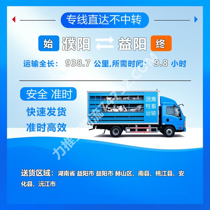 河南省濮阳市活禽运输公司{云智活禽牲畜恒温车物流运输}