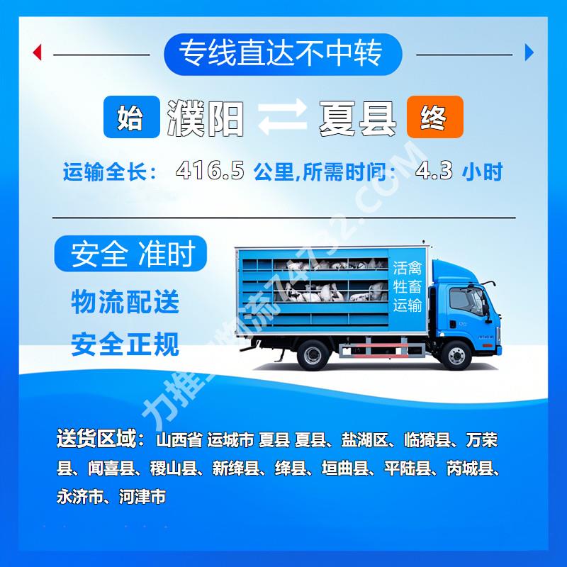 河南省濮阳市到山西省运城市夏县活猪托运运输