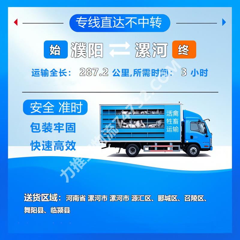 河南省濮阳市至河南省漯河市牲畜运输|认准云智活禽牲畜恒温车物流运输