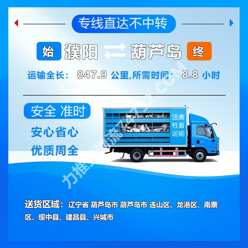 河南省濮阳市到辽宁省葫芦岛市活禽托运_运输保险_《云智活禽牲畜恒温车物流运输》