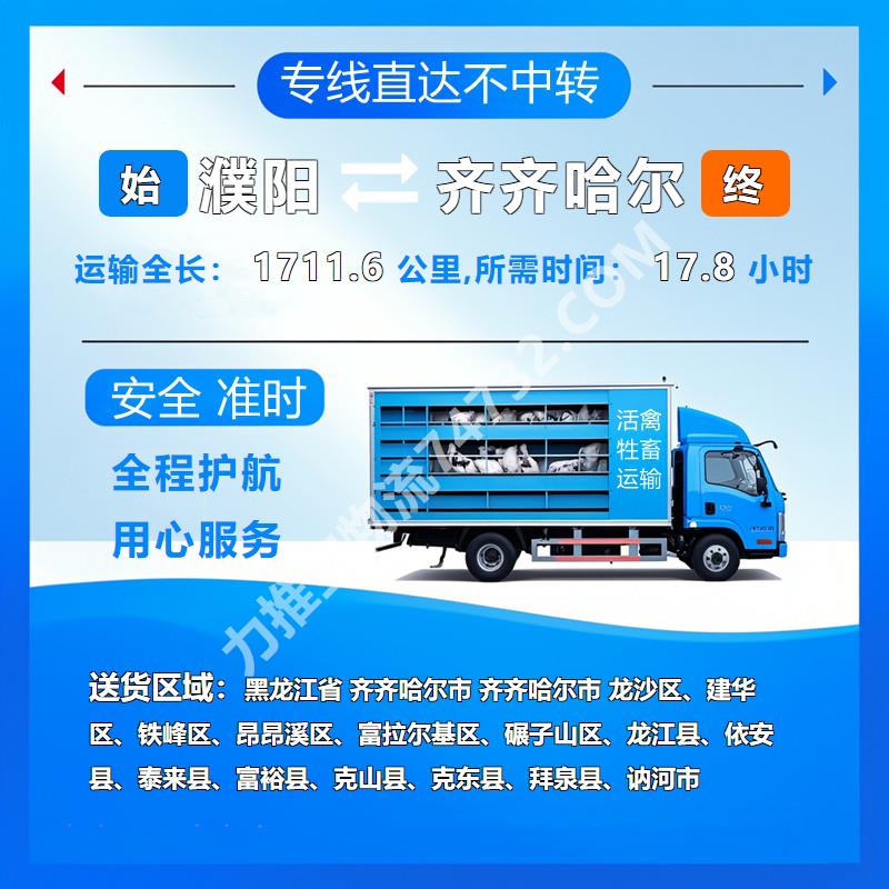 河南省濮阳市到黑龙江省齐齐哈尔市物流