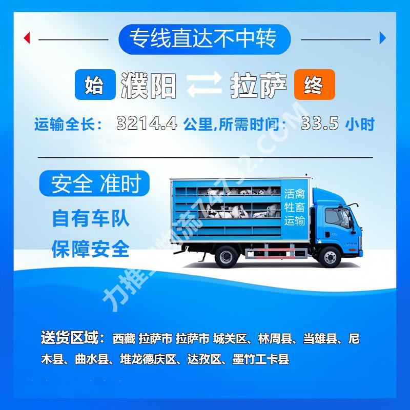 河南省濮阳市至西藏拉萨市专线