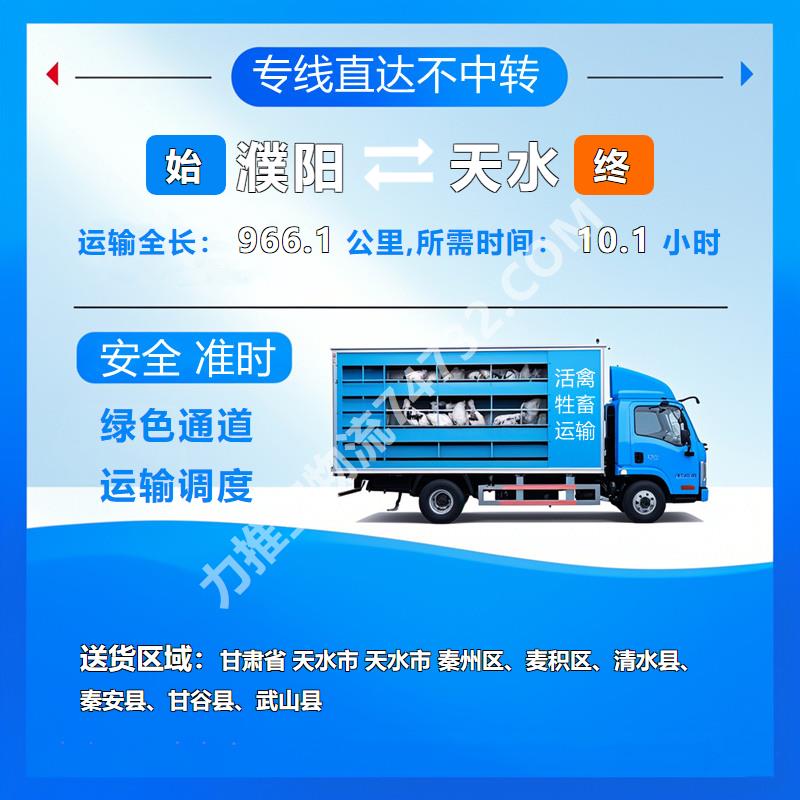 河南省濮阳市至甘肃省天水市牲畜托运|羊运输【云智活禽牲畜恒温车物流运输】诚信服务