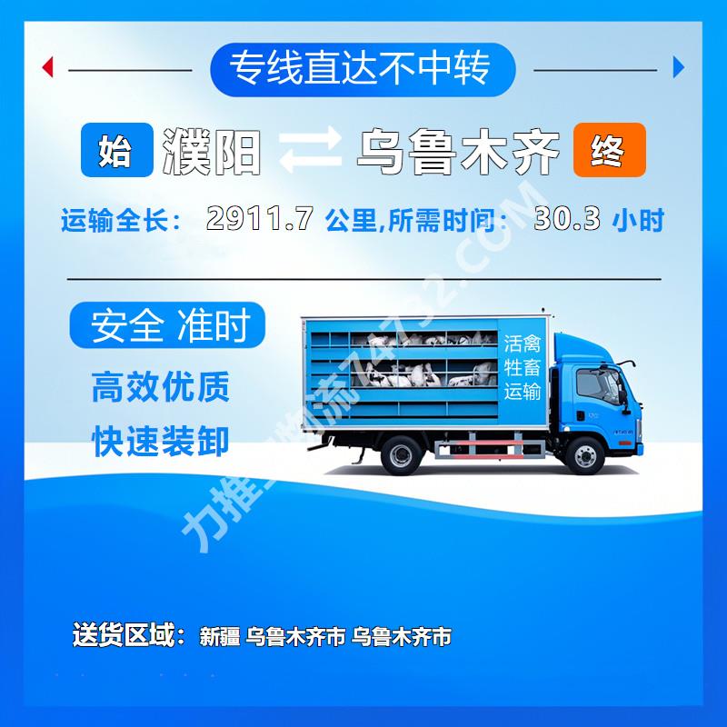 河南省濮阳市到新疆乌鲁木齐市牲畜运输|猪运输