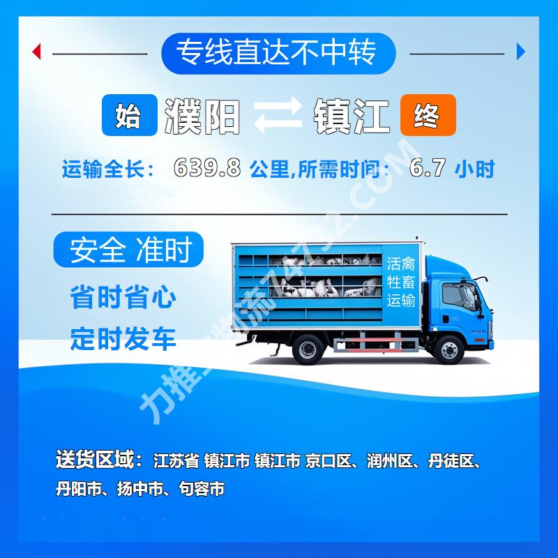 河南省濮阳市至江苏省镇江市活禽运输《云智活禽牲畜恒温车物流运输》无缝中转-猪运输