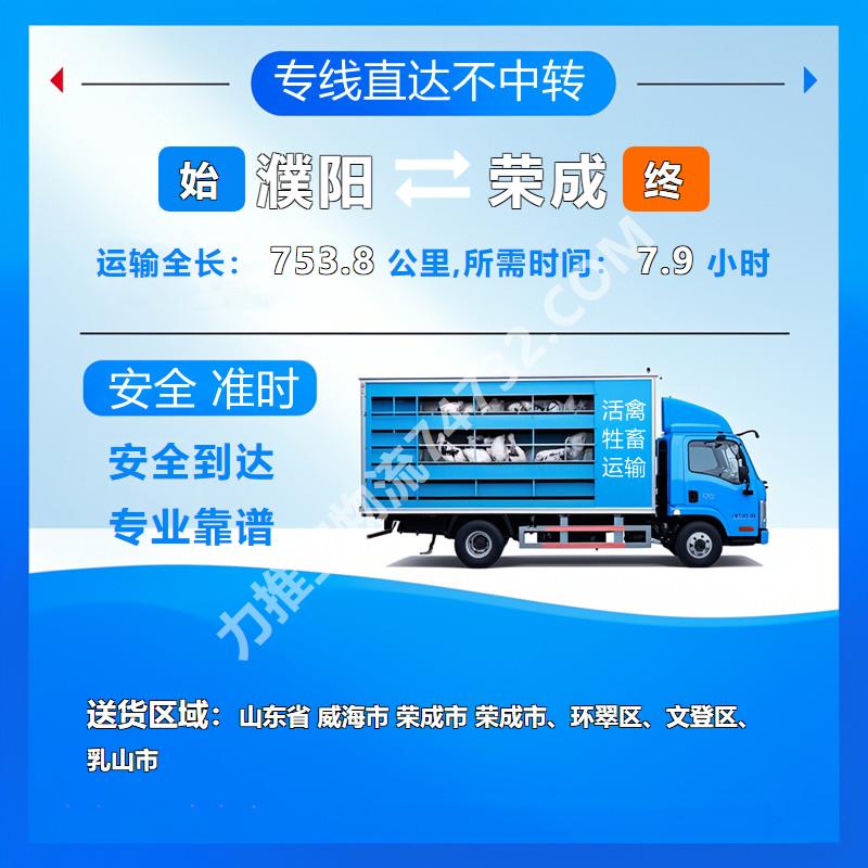 河南省濮阳市到山东省威海市荣成市牲畜运输_(快运通物流)()育成鸡运输