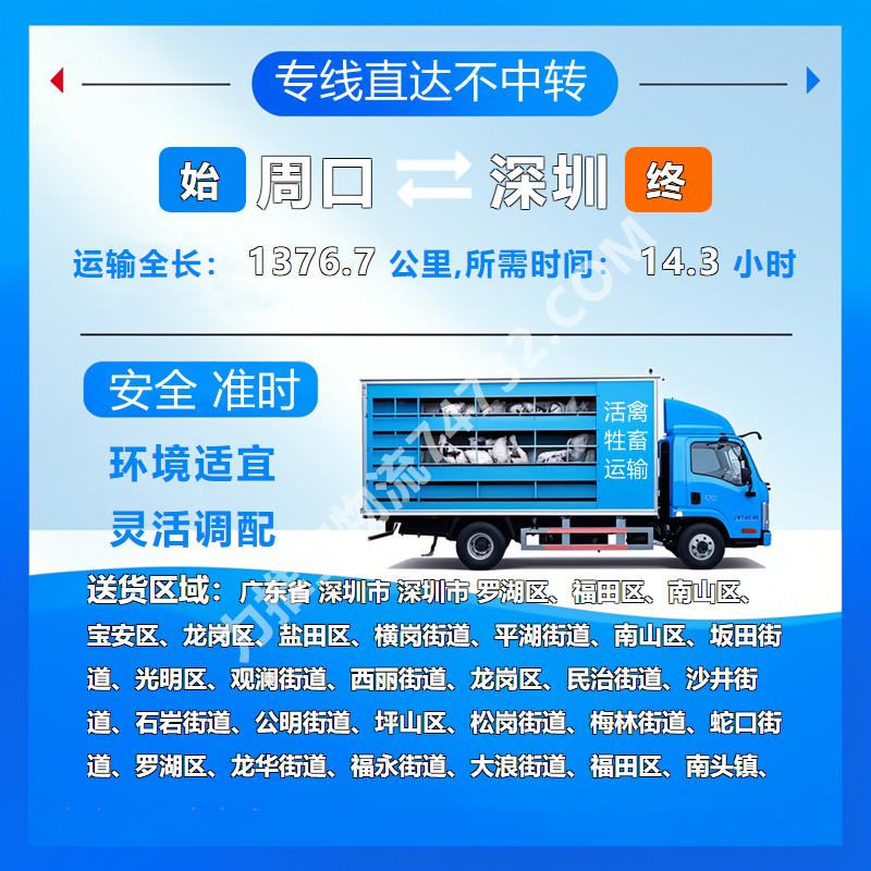 河南省周口市至广东省深圳市活禽托运|{云智活禽牲畜恒温车物流运输}