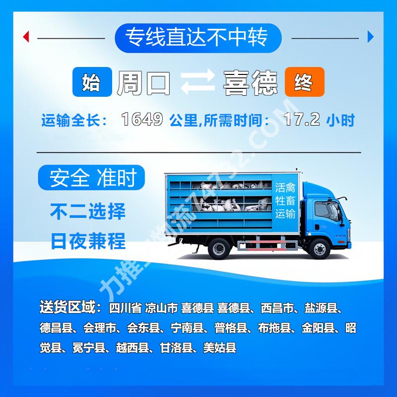 河南省周口市到四川省凉山市喜德县牲畜运输物流