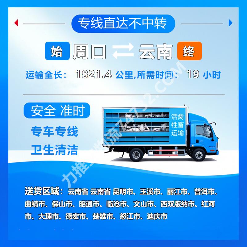 河南省周口市至云南省物流