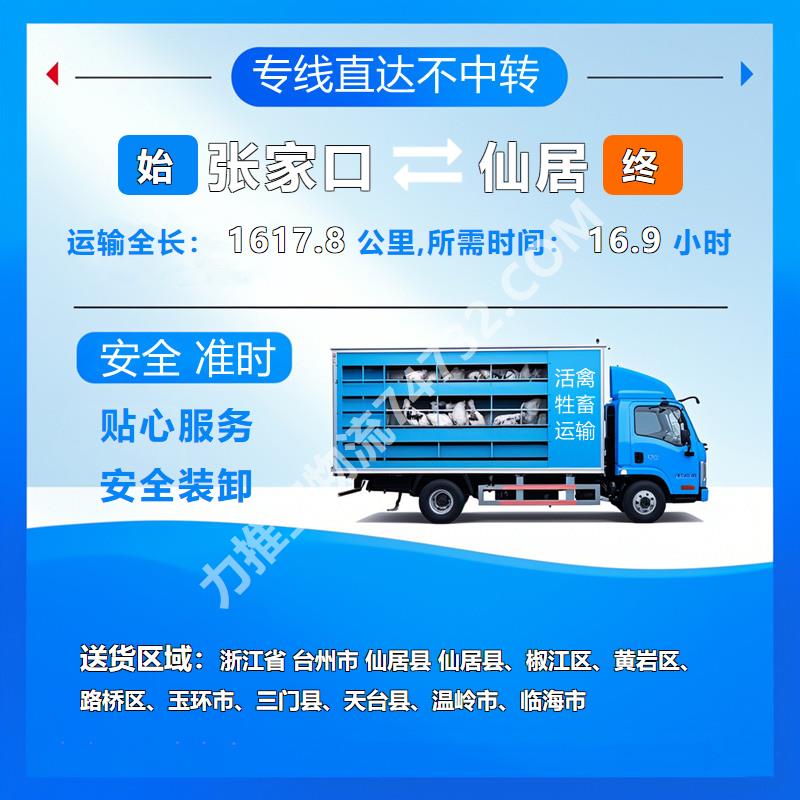 河北省张家口市至浙江省台州市仙居县活禽托运-{锦程物流}()种羊运输