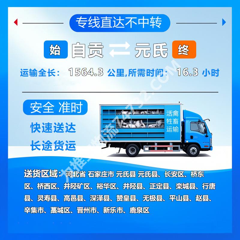 四川省自贡市牲畜运输|生猪运输