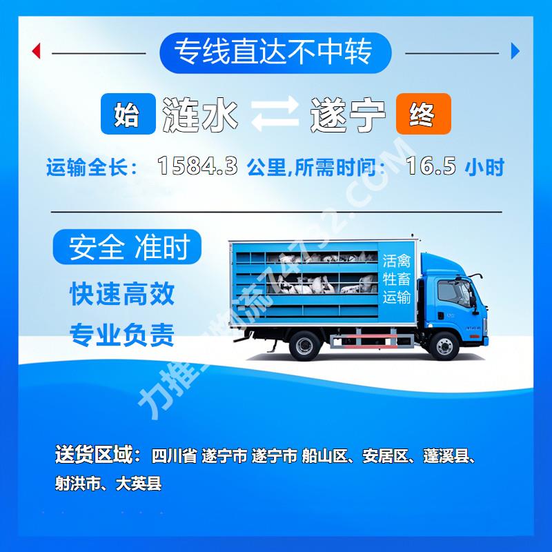江苏省淮安市涟水县到四川省遂宁市活禽托运健康快运|定时发车