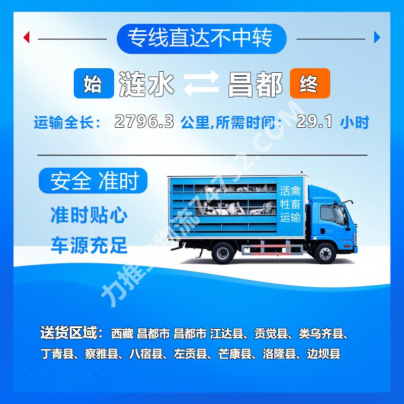 江苏省淮安市涟水县至西藏昌都市牲畜托运【云智活禽牲畜恒温车物流运输】车辆齐全-牛运输