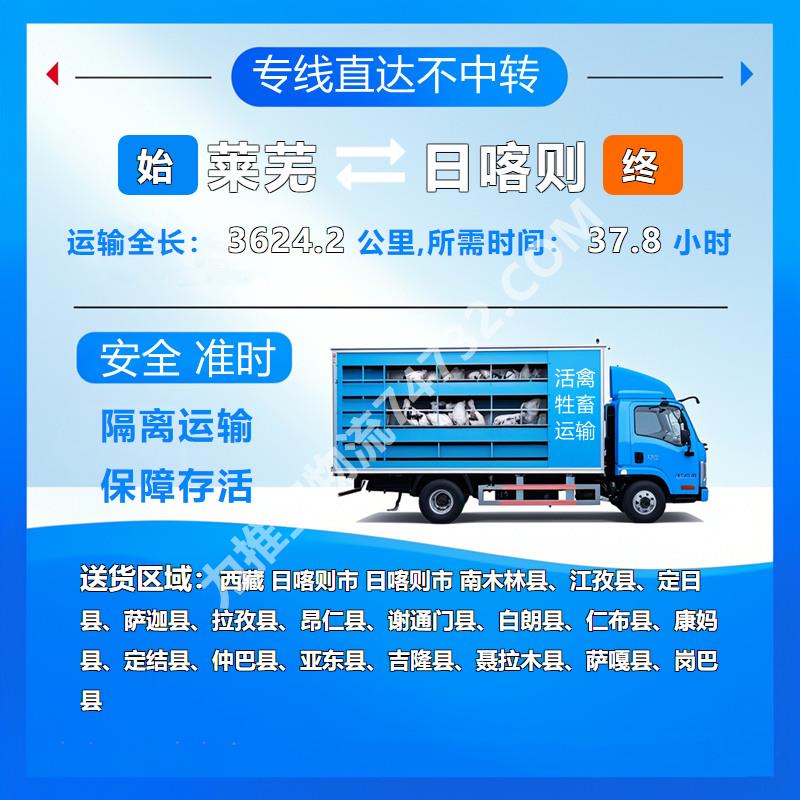 猪运输-山东省莱芜市到西藏日喀则市牲畜运输-运输保险 专业高效