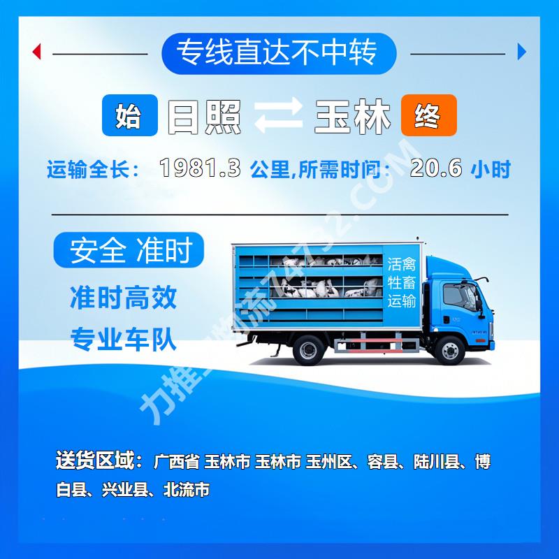 山东省日照市牲畜运输公司_装卸有序