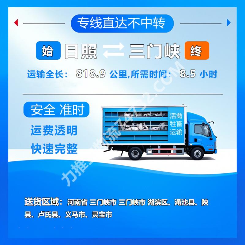 山东省日照市到河南省三门峡市牲畜运输-仔猪运输 、运输防护