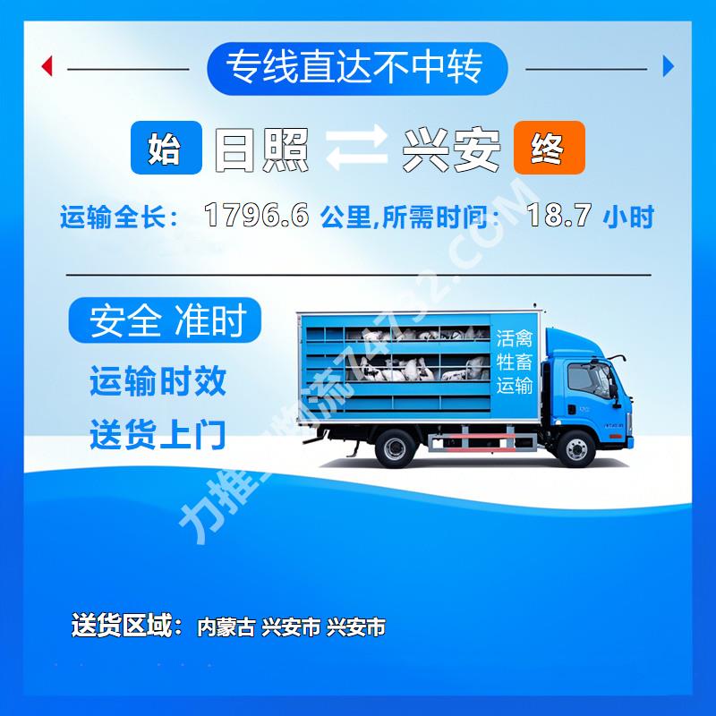 山东省日照市至内蒙古兴安市|山东省日照市至内蒙古兴安市牲畜托运