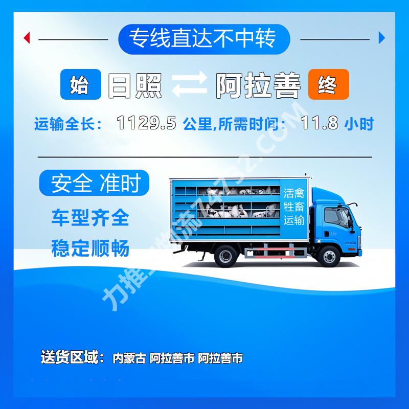 山东省日照市至内蒙古阿拉善市活禽托运_{云智活禽牲畜恒温车物流运输}