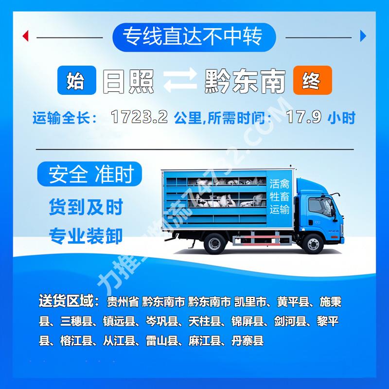 山东省日照市至贵州省黔东南市牲畜托运_【云智活禽牲畜恒温车物流运输】()羊运输