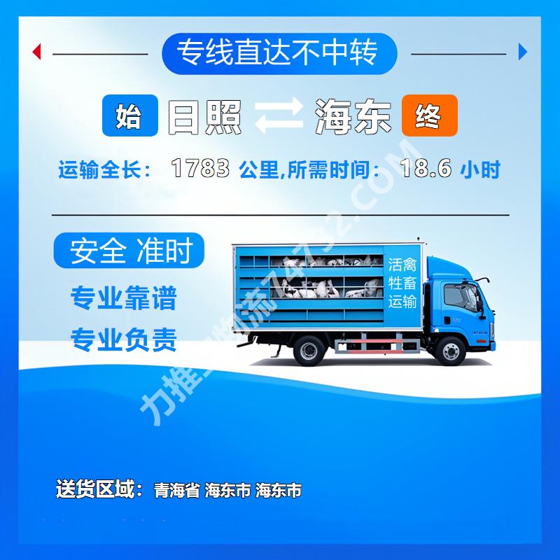 山东省日照市到青海省海东市牲畜运输-{云智活禽牲畜恒温车物流运输}羊运输