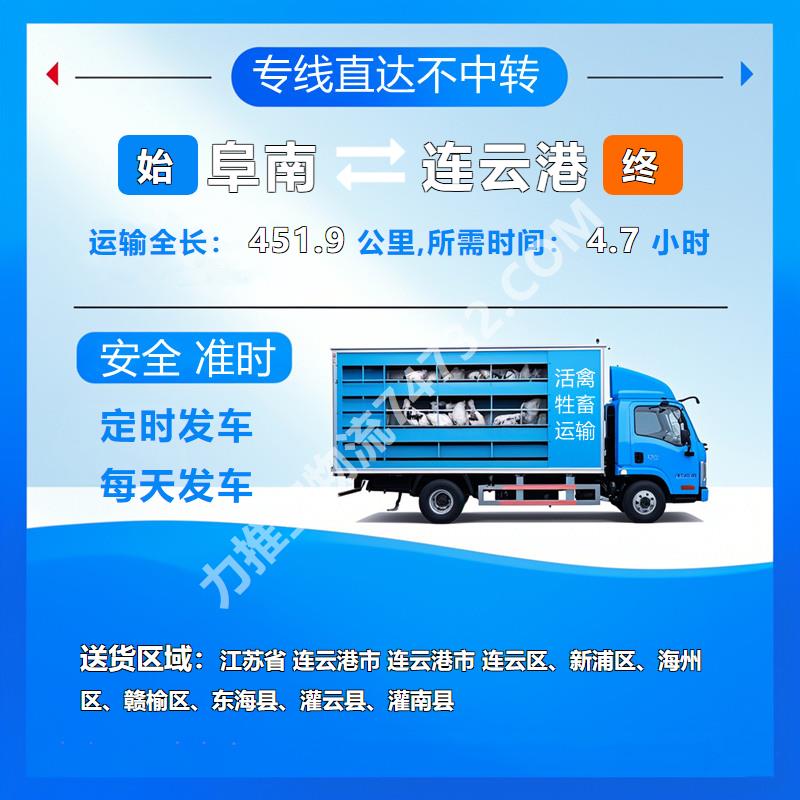 安徽省阜阳市阜南县到江苏省连云港市牲畜运输-云智活禽牲畜恒温车物流运输-牛运输-规范