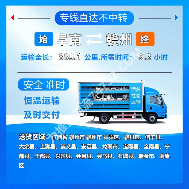 安徽省阜阳市阜南县至江西省赣州市活禽托运|【提供定制包装】