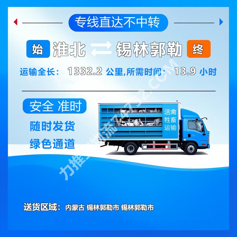 安徽省淮北市至内蒙古锡林郭勒市活禽运输|选择{云智活禽牲畜恒温车物流运输}