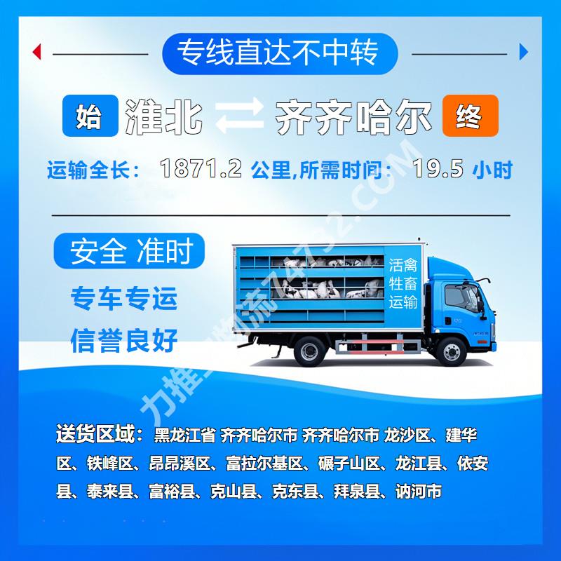 安徽省淮北市至黑龙江省齐齐哈尔市活禽运输|云智活禽牲畜恒温车物流运输性价比高