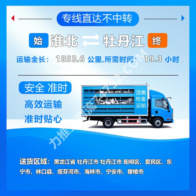 云智活禽牲畜恒温车物流运输-安徽省淮北市至黑龙江省牡丹江市活禽运输_快速装卸