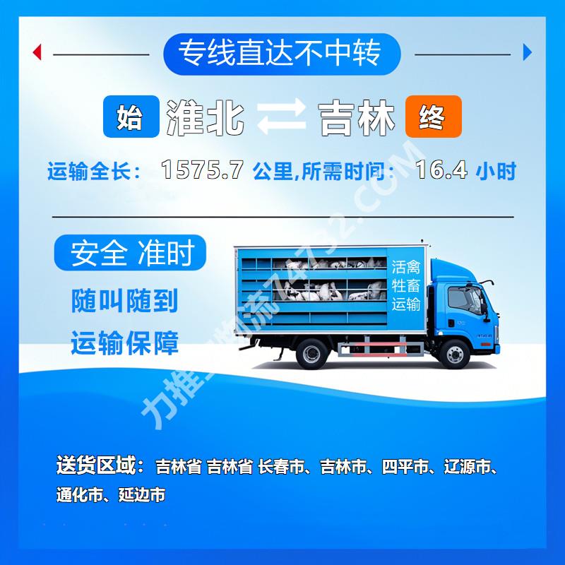 安徽省淮北市至吉林省活禽托运_牛运输