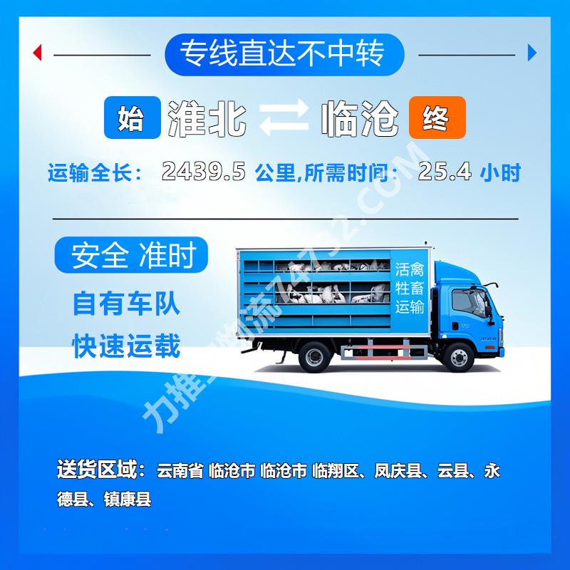 安徽省淮北市至云南省临沧市活禽托运(牛运输)-云智活禽牲畜恒温车物流运输|提供定制包装
