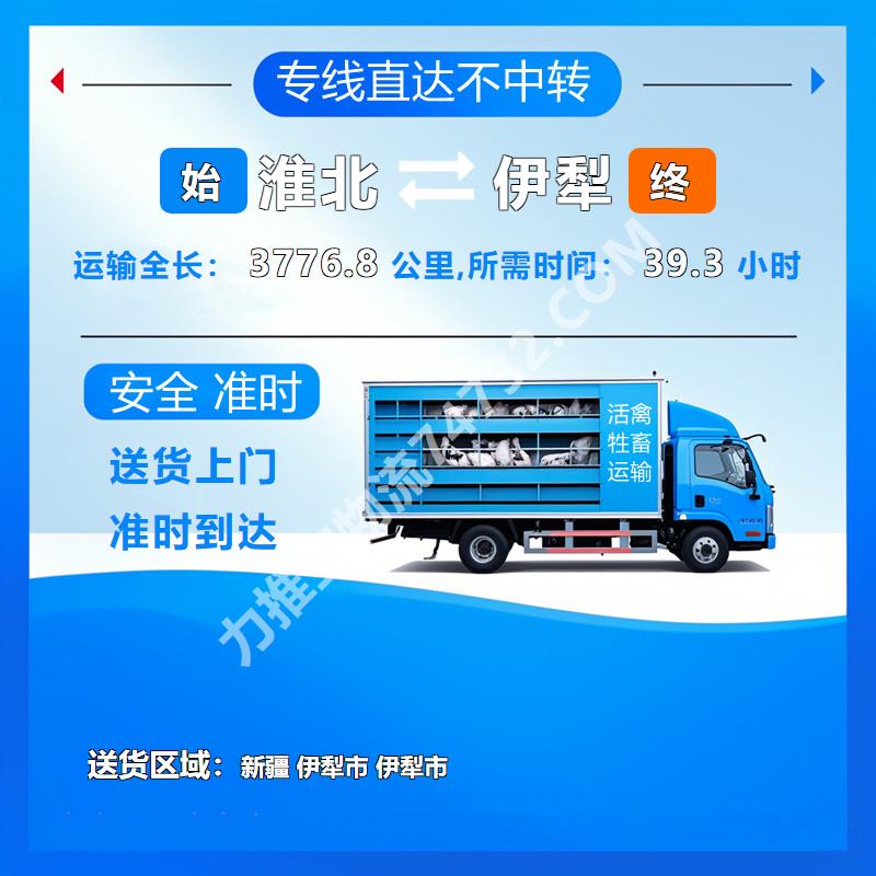 牛运输-安徽省淮北市至新疆伊犁市活禽运输-妥帖 安全保障到位