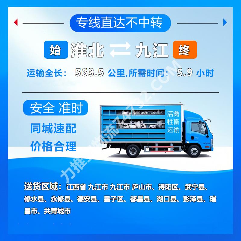 安徽省淮北市至江西省九江市牲畜运输全程直达