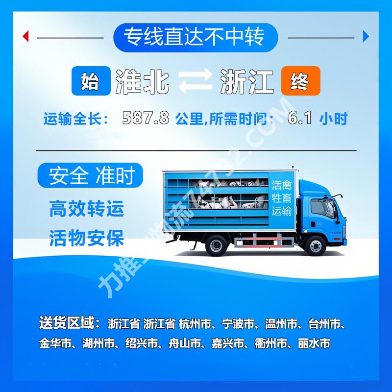 《云智活禽牲畜恒温车物流运输》安徽省淮北市至浙江省牲畜托运|仓储环境优良