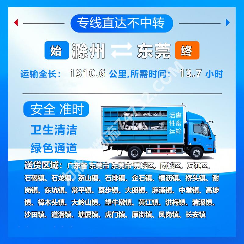 安徽省滁州市到广东省东莞市牲畜运输|优质物流快速完整