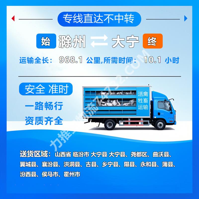 安徽省滁州市到山西省临汾市大宁县牲畜运输用心服务-安全保障-快运通物流