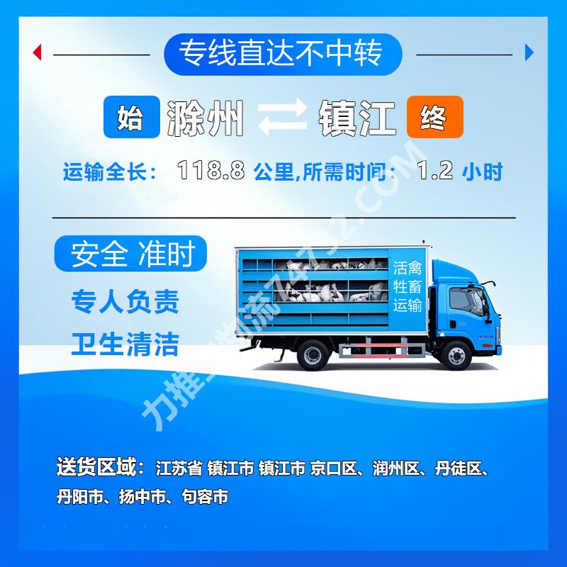 安徽省滁州市至江苏省镇江市牲畜运输顺畅