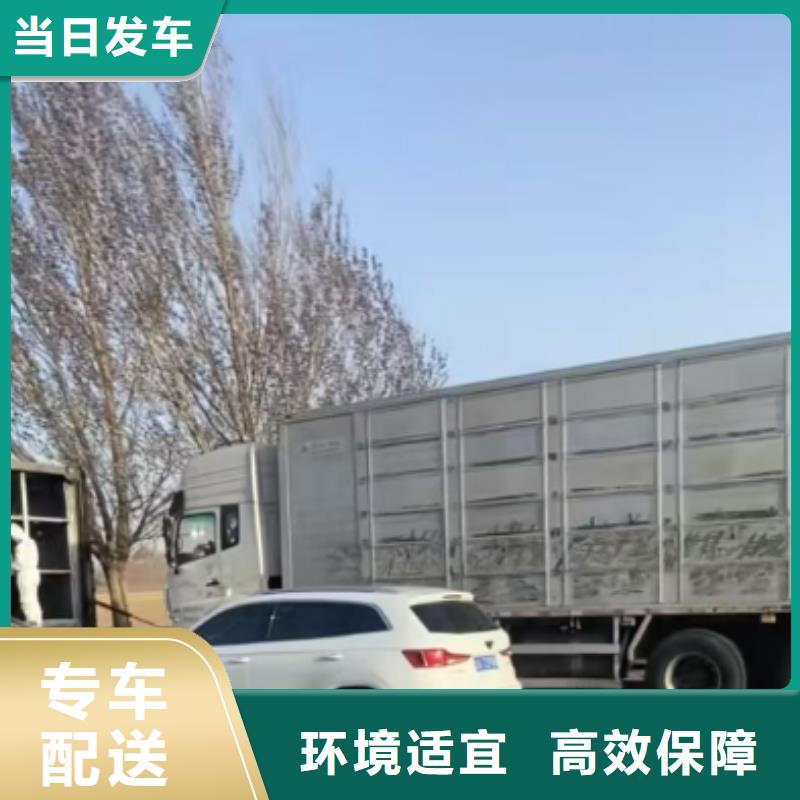 濮阳到乌鲁木齐物流专线货运公司