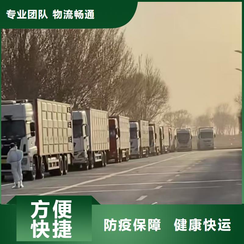 日照到伊犁物流专线货运公司