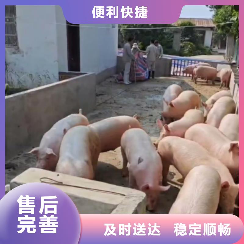 淮北到六盘水物流专线货运公司