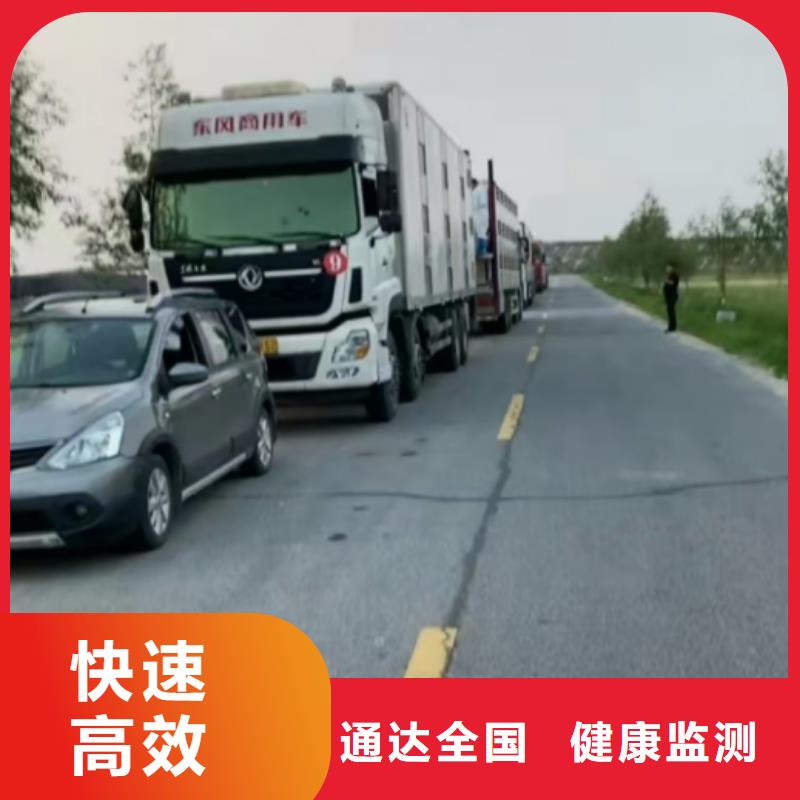 濮阳到连云港物流专线货运公司